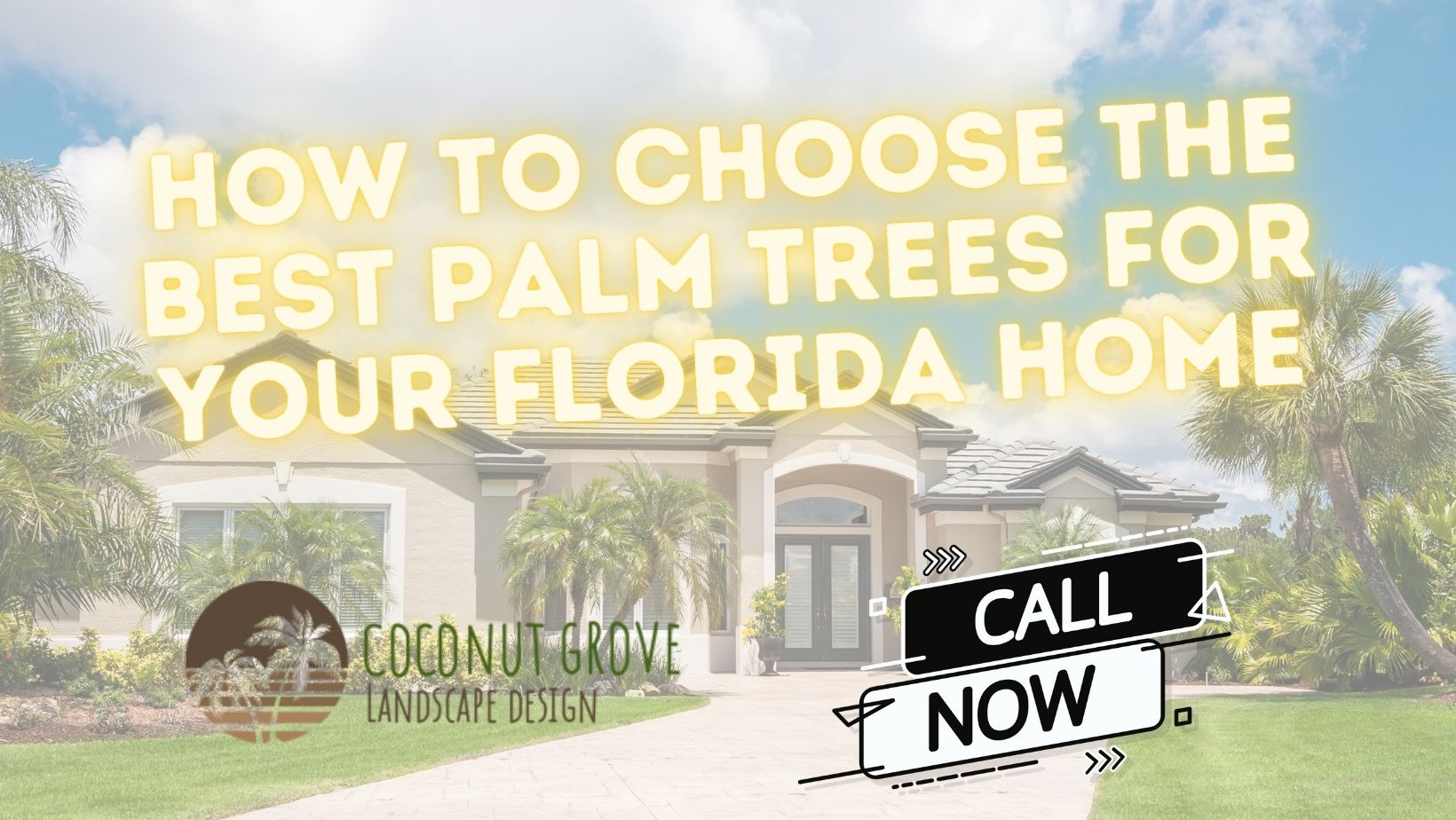 How to Choose the Best Palm Trees for Your Florida Home