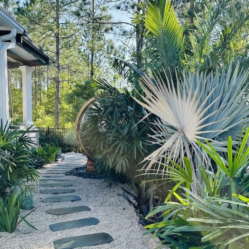 Featured projects by Coconut Grove Landscape Design highlighting their comprehensive landscaping process in Neptune Beach, FL